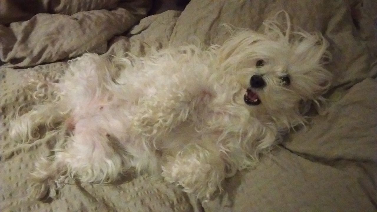 20141112_193508_IMAG0009