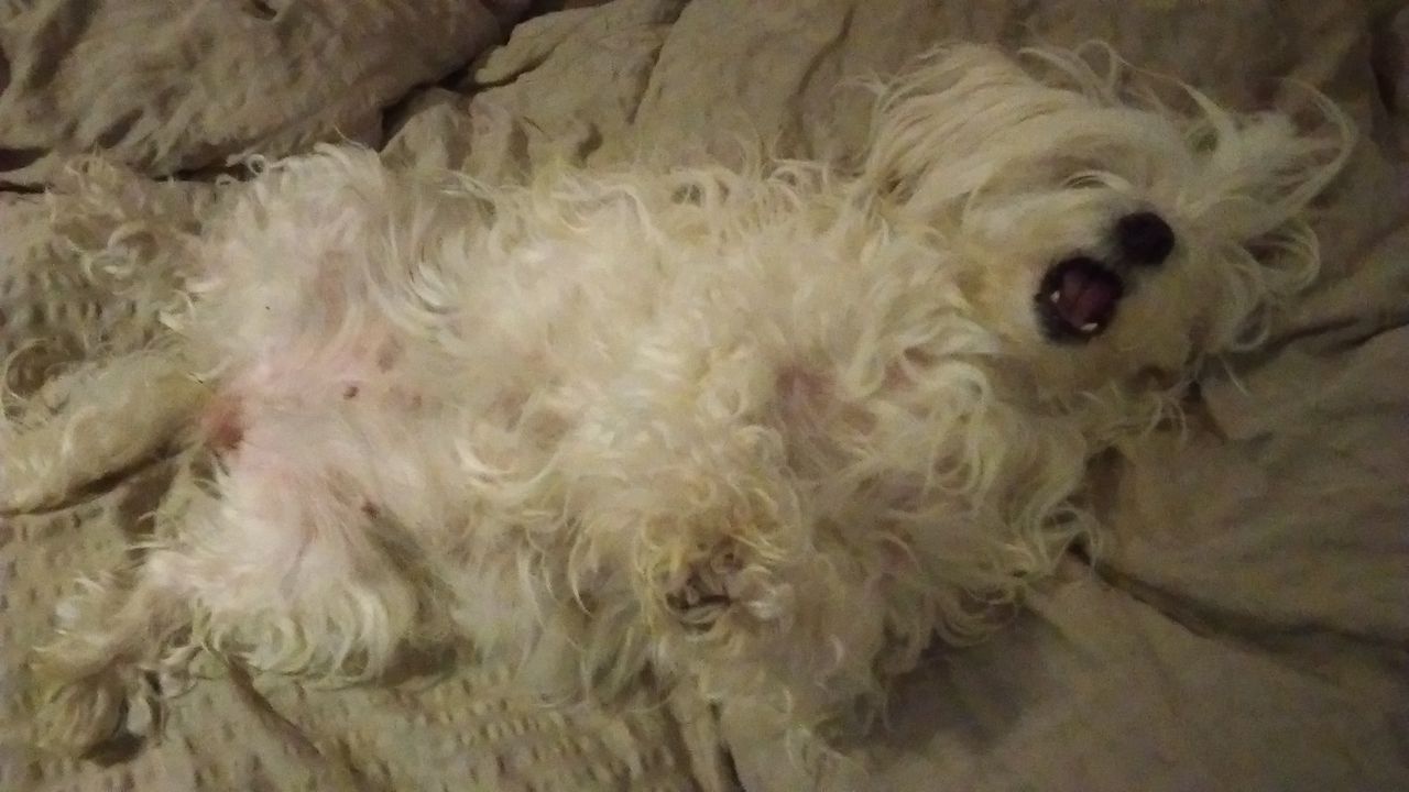20141112_193538_IMAG0010