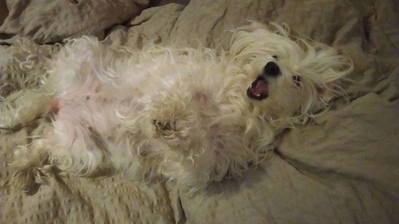 20141112_193600_IMAG0012
