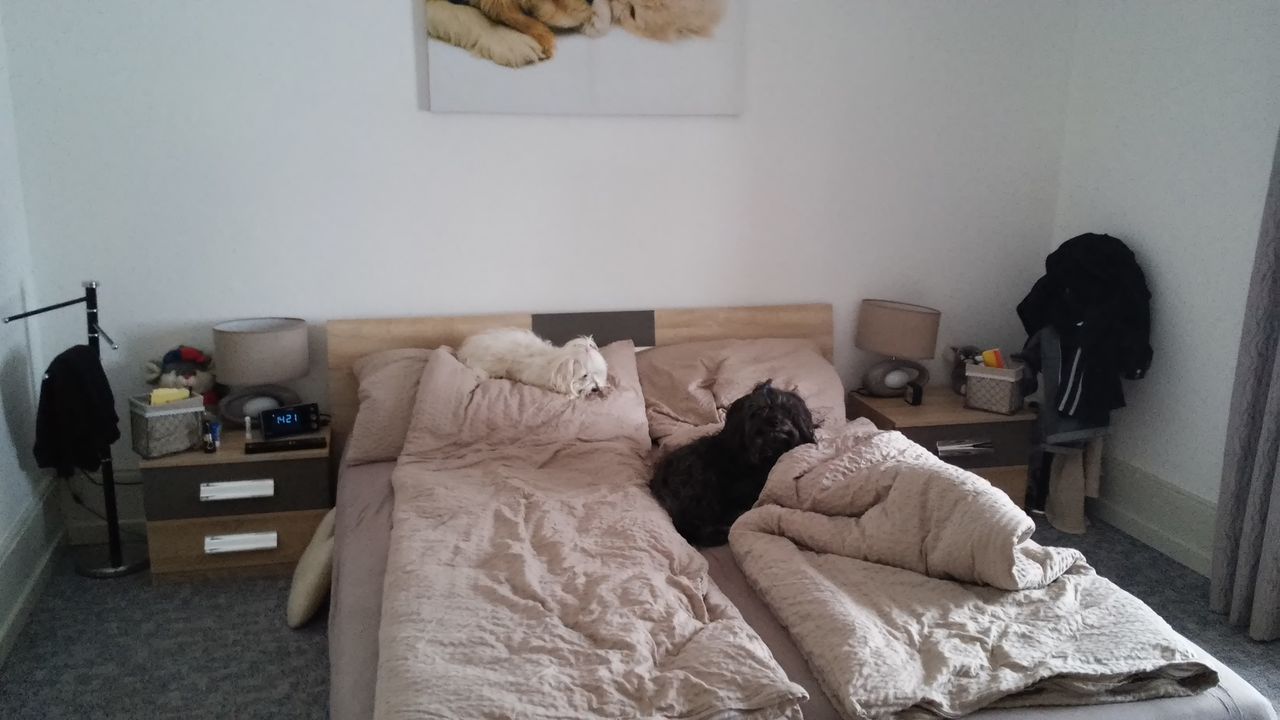 20150124_142201