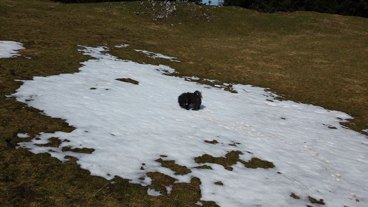 20150412_114314