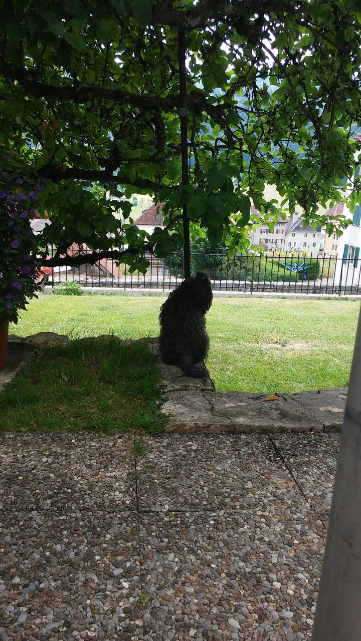 20150705_125832
