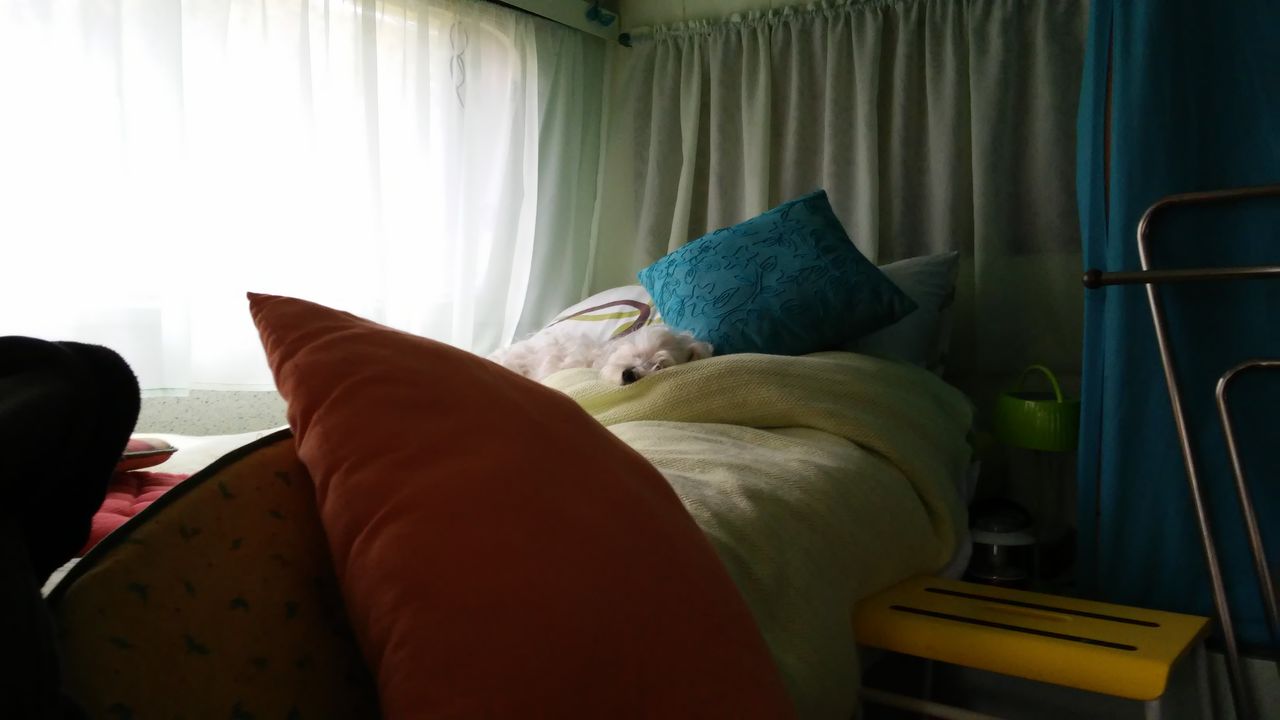20150919_125247