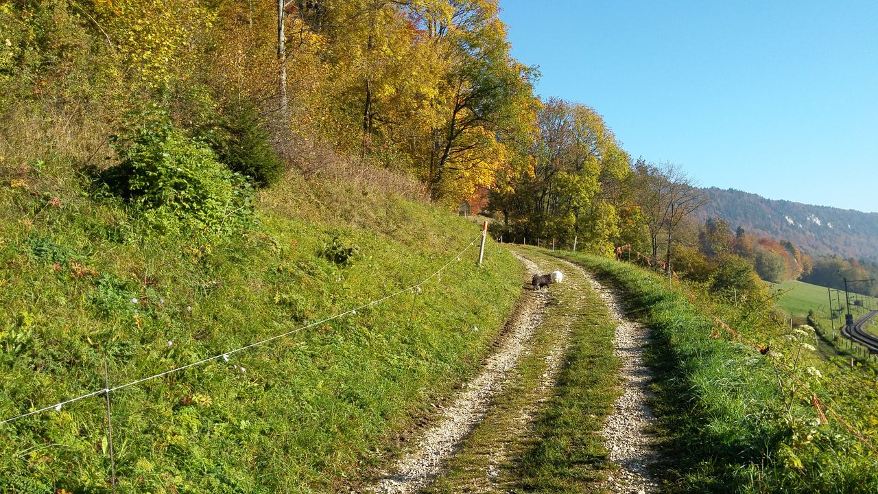 20151020_095725
