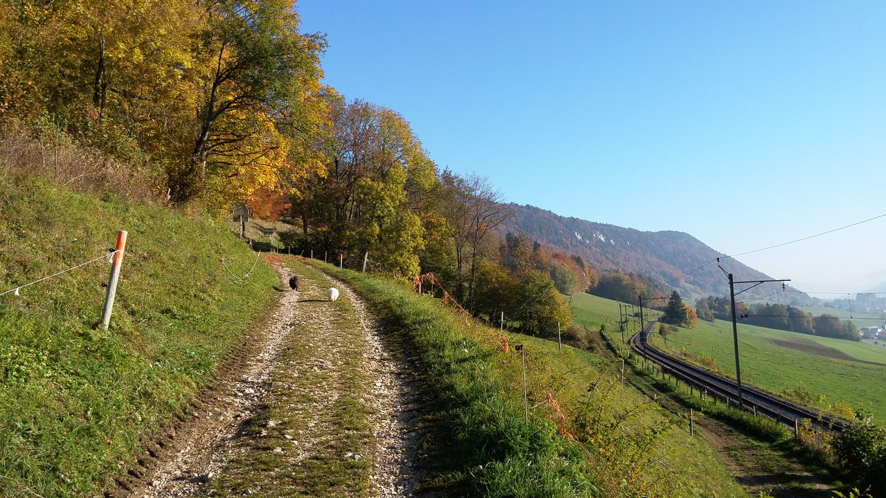20151020_095734