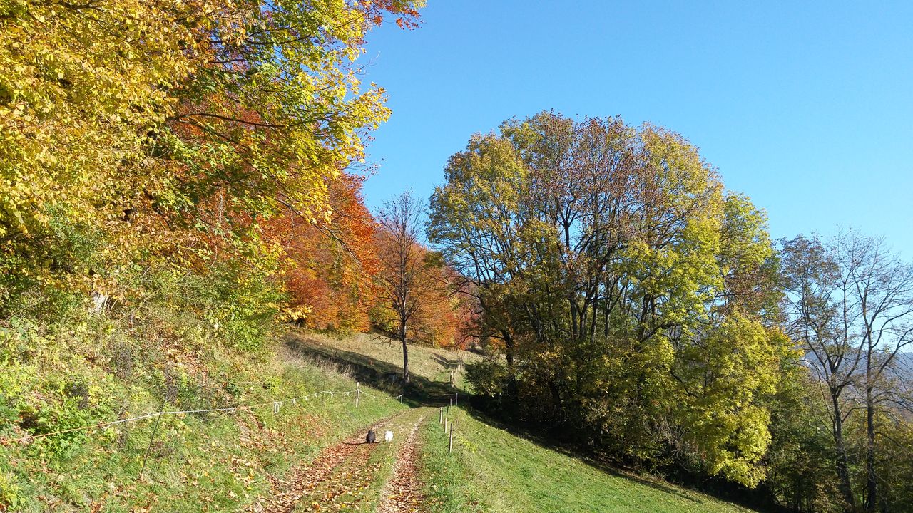 20151020_095840