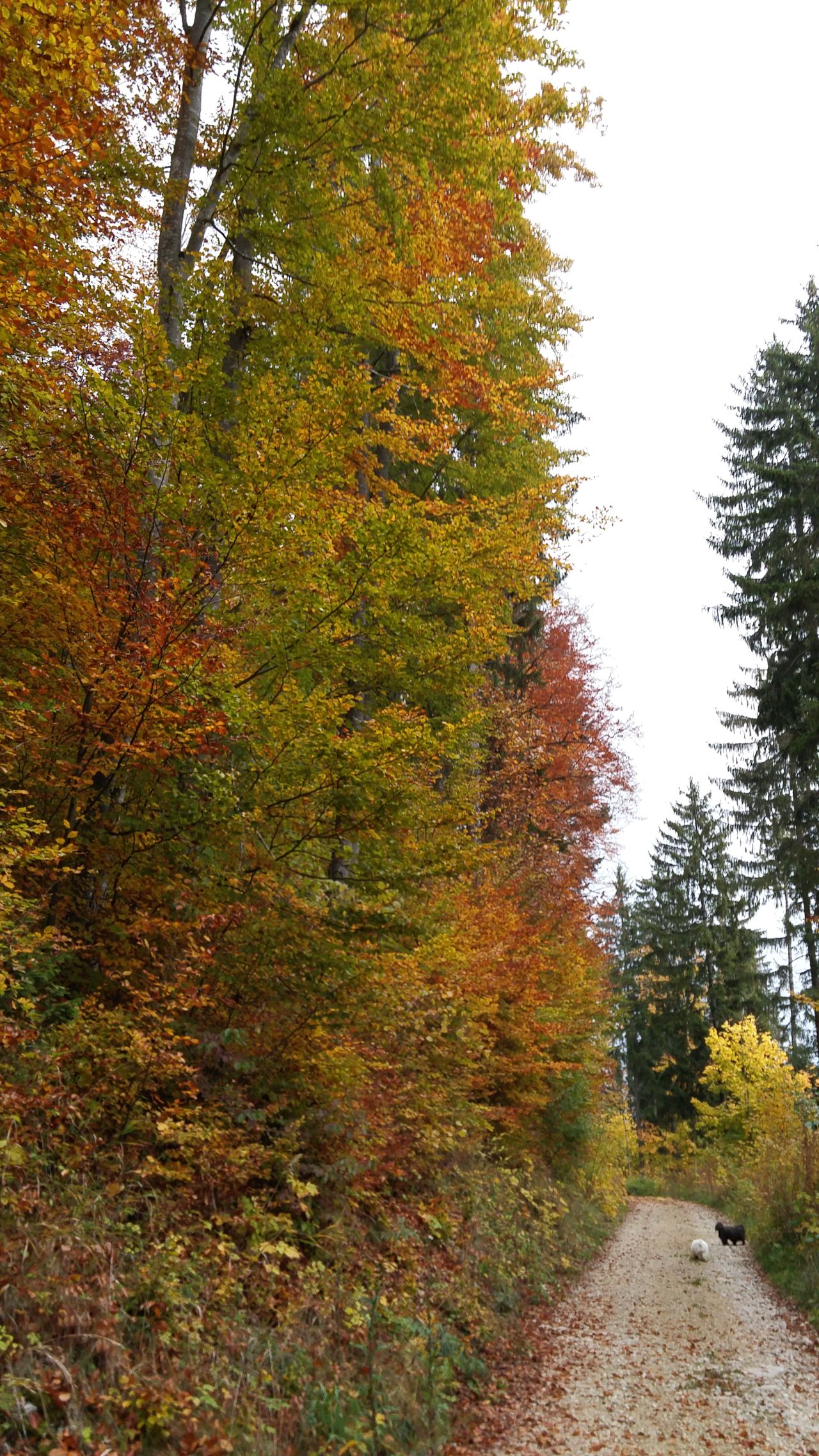 20151021_100050