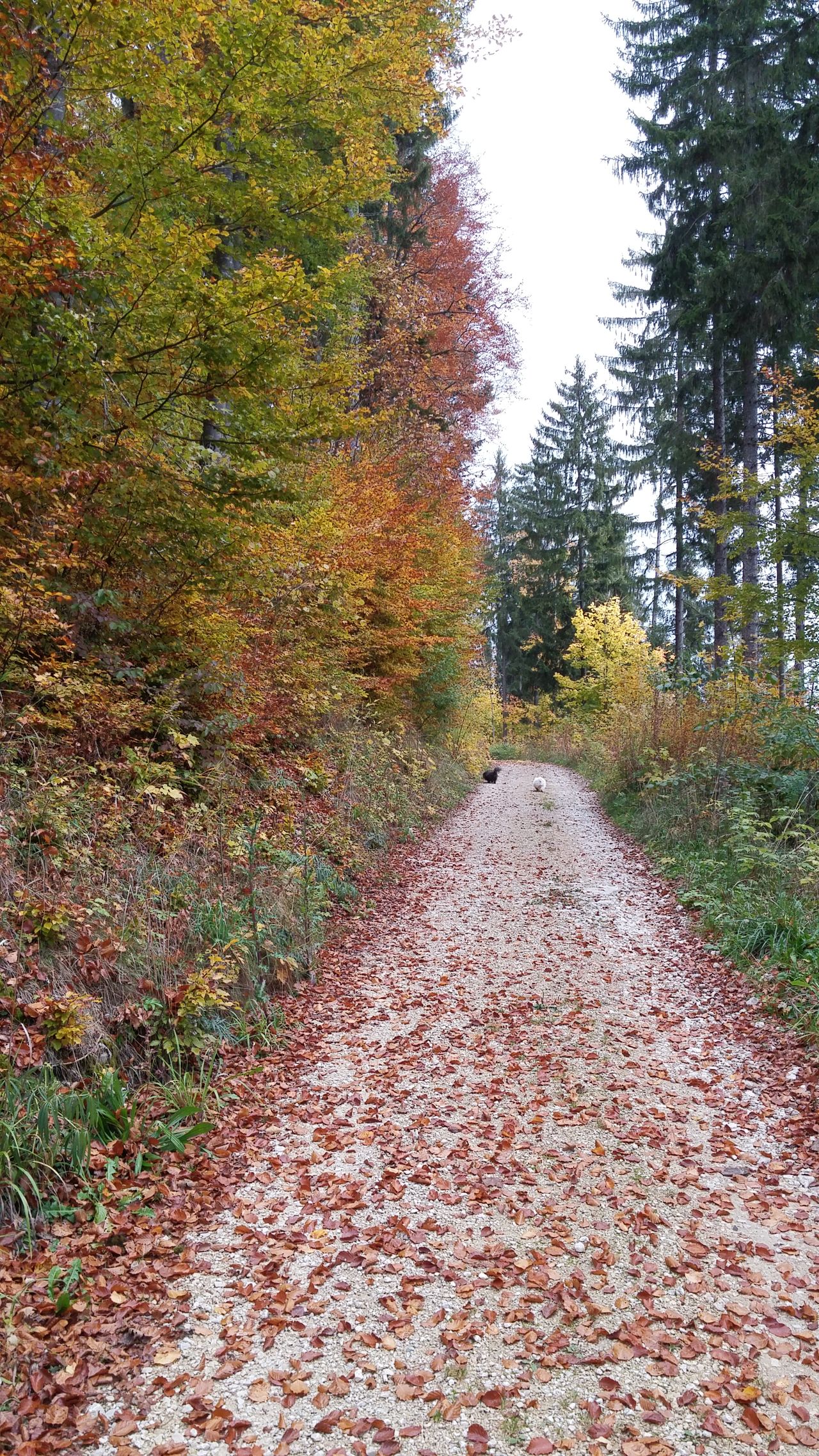 20151021_100054