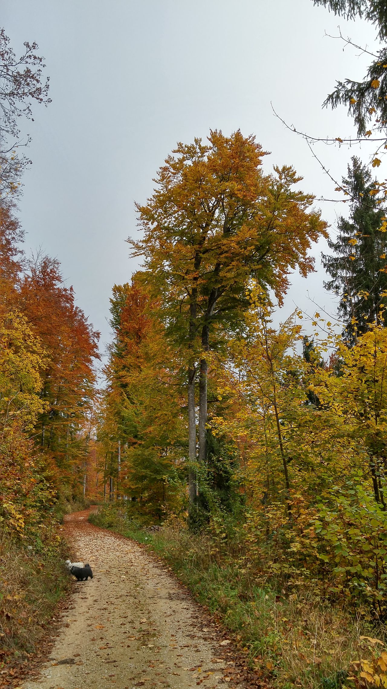 20151021_100237_HDR