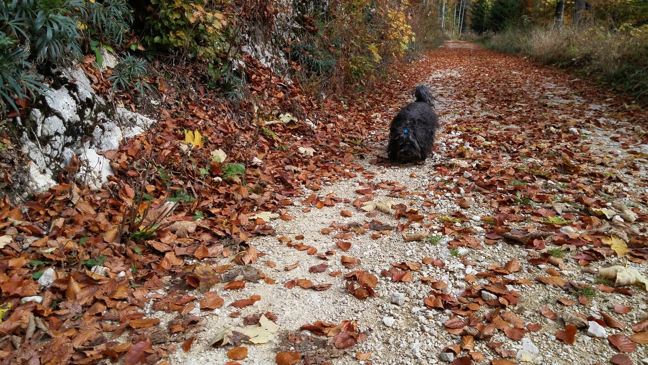 20151021_101131