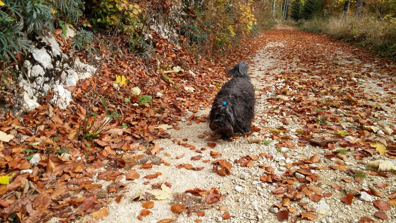 20151021_101132