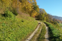20151020_095725