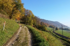 20151020_095734