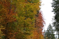 20151021_100050