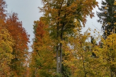 20151021_100237_HDR