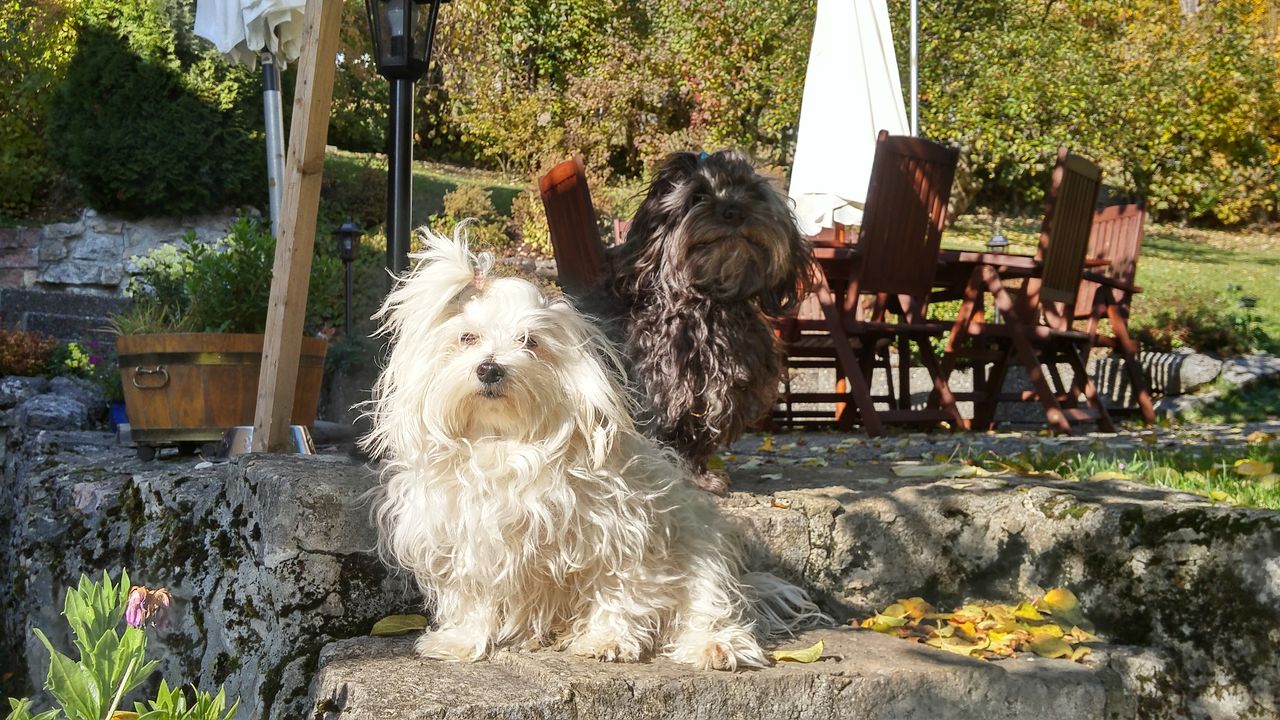 20151020_141436_HDR