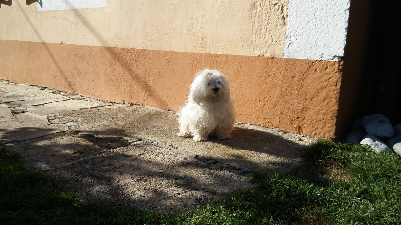 20151020_142817