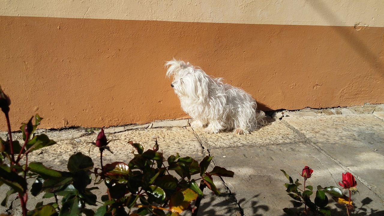 20151020_143729