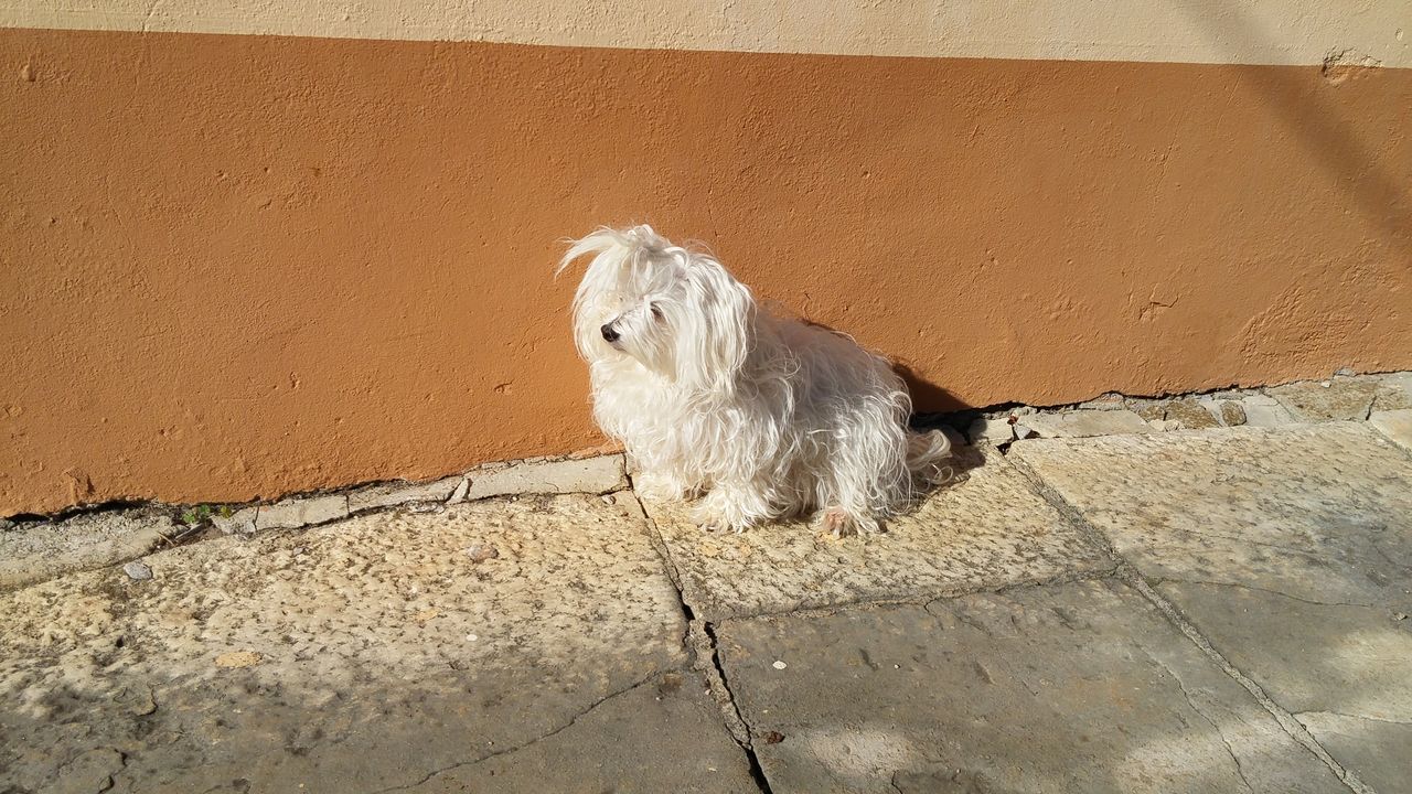 20151020_143735