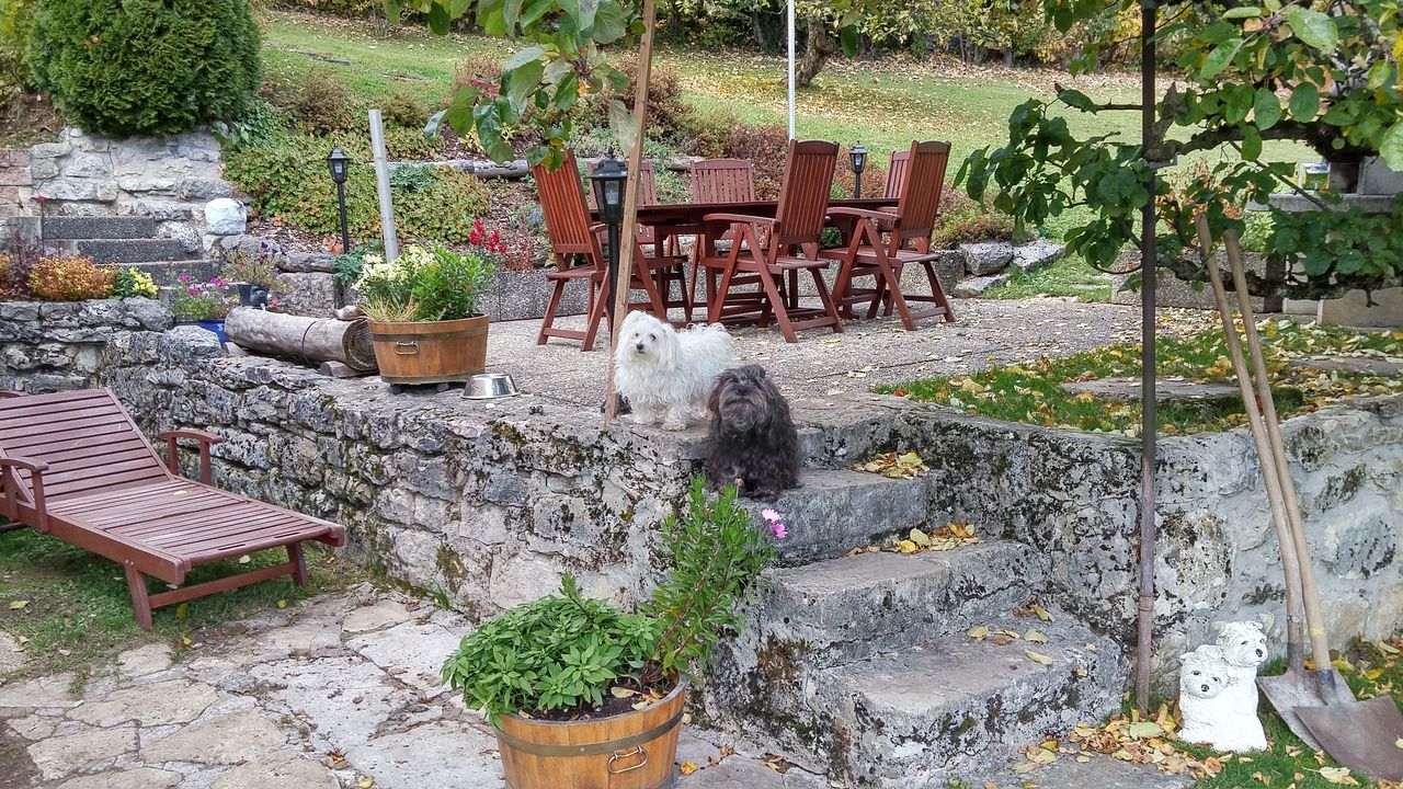 20151021_161020_HDR