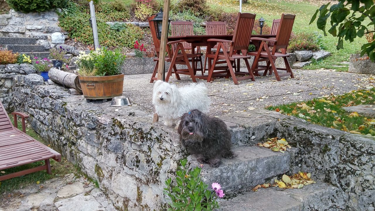 20151021_161026_HDR
