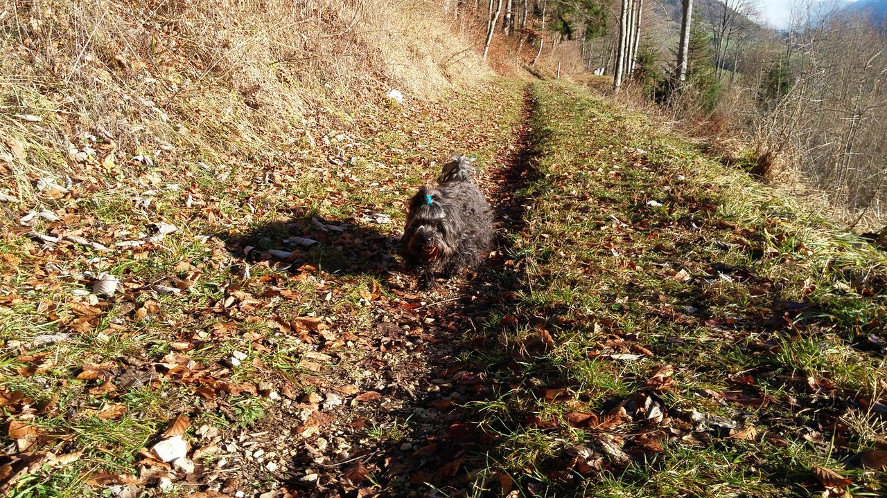20151206_103009