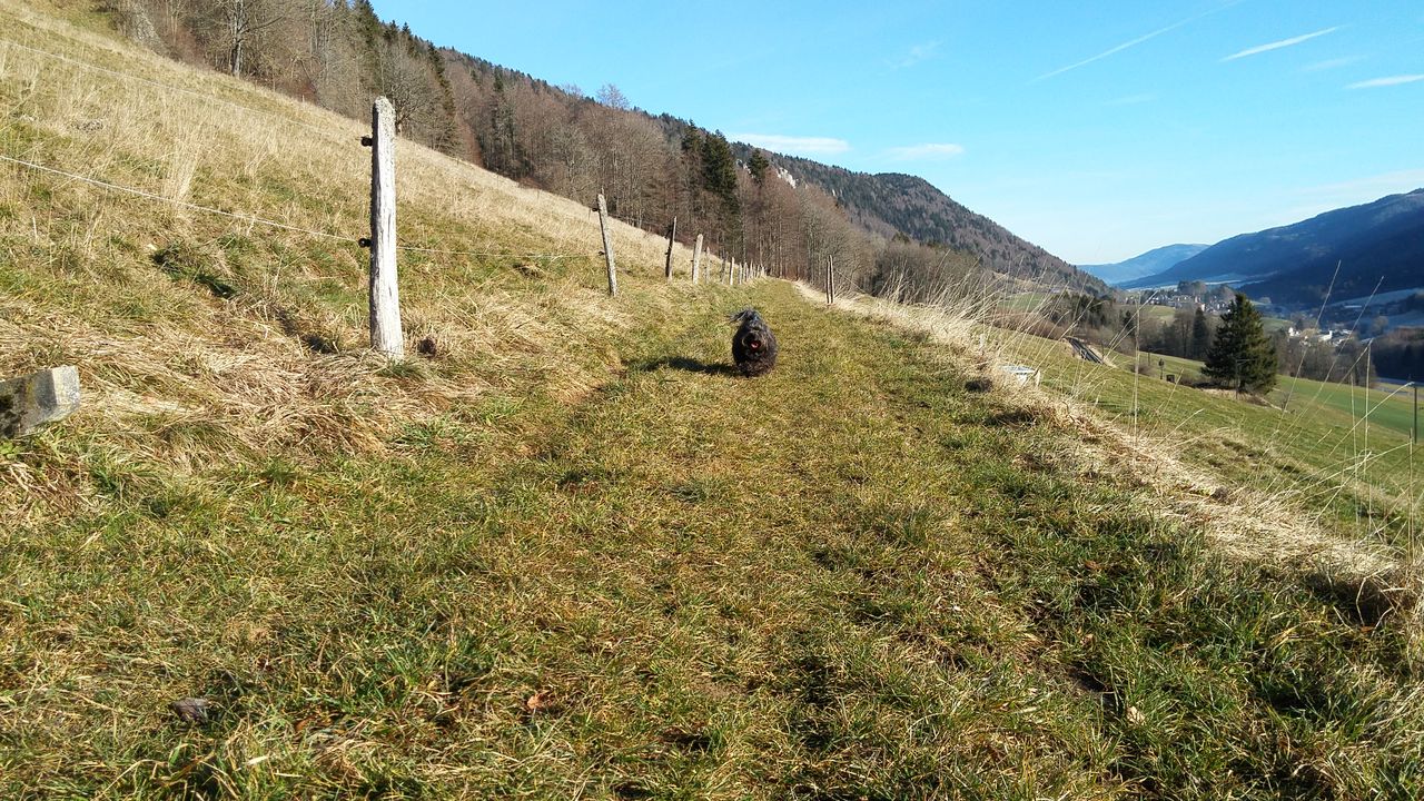 20151227_112238