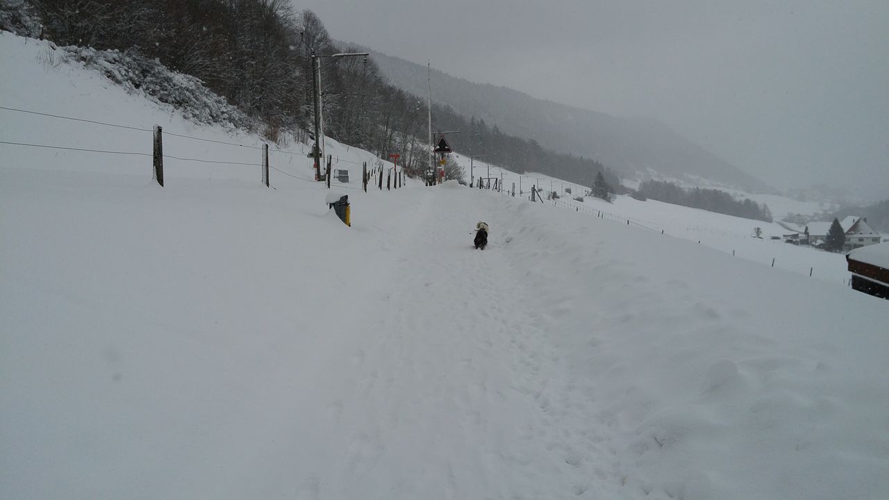 20160117_105937