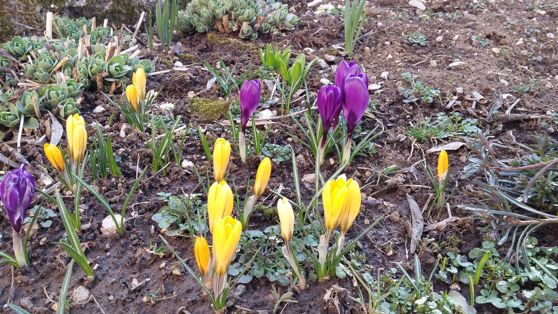20160320_102110