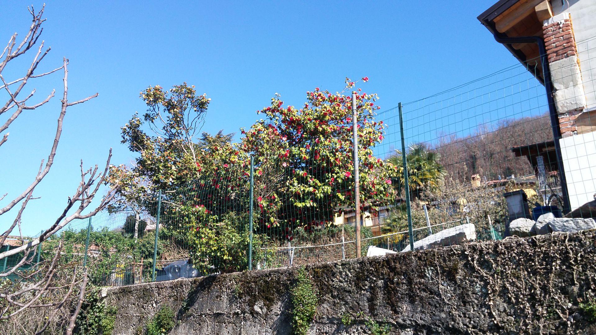20160326_145950