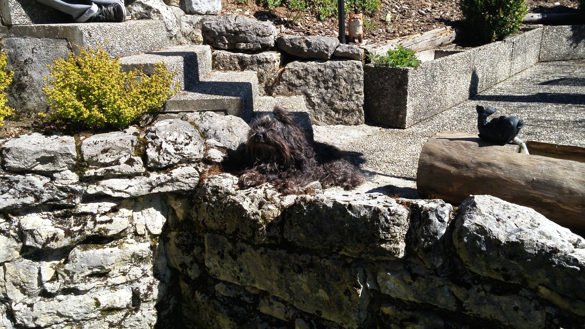 20160505_105432