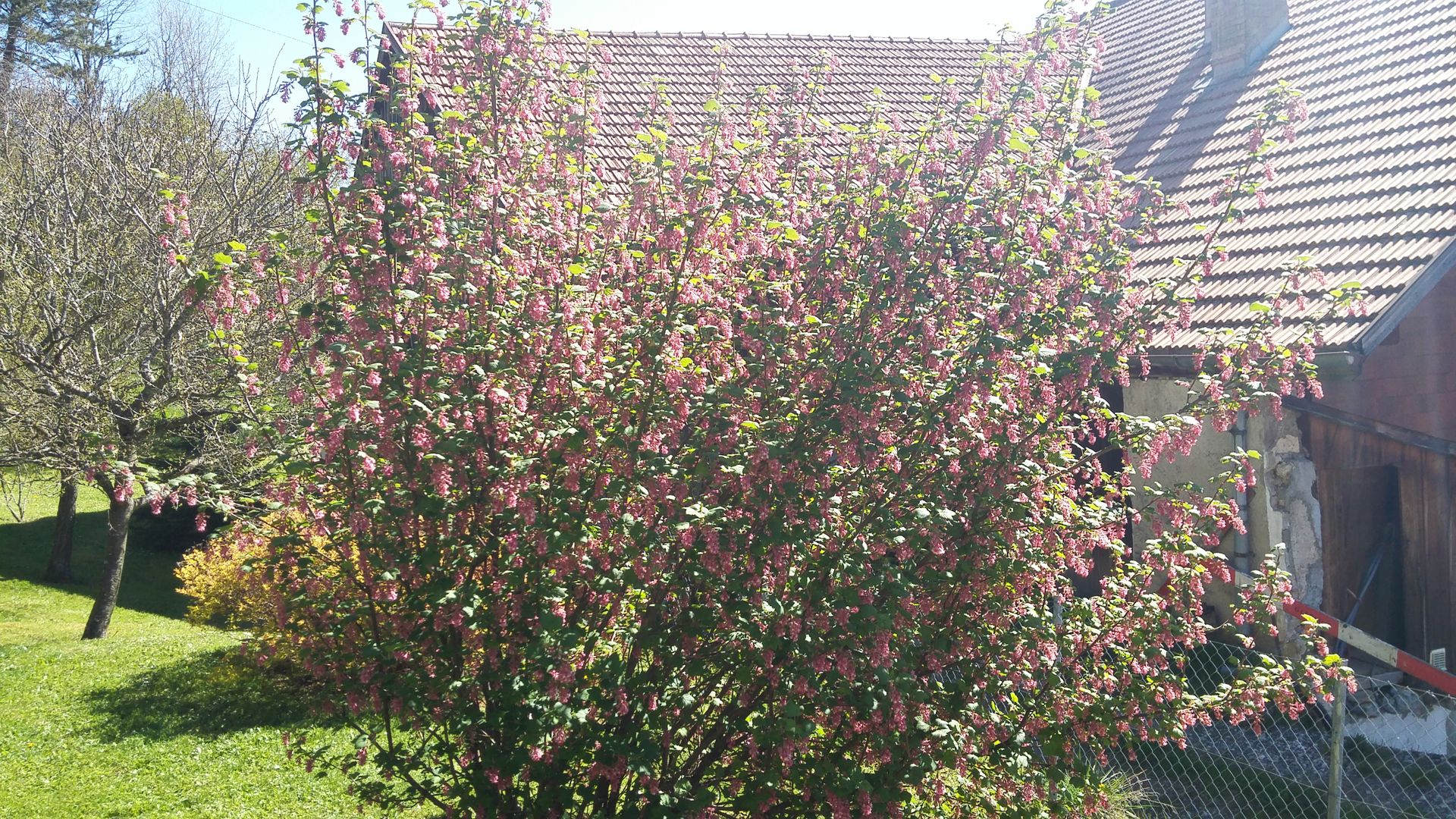 20160505_105519