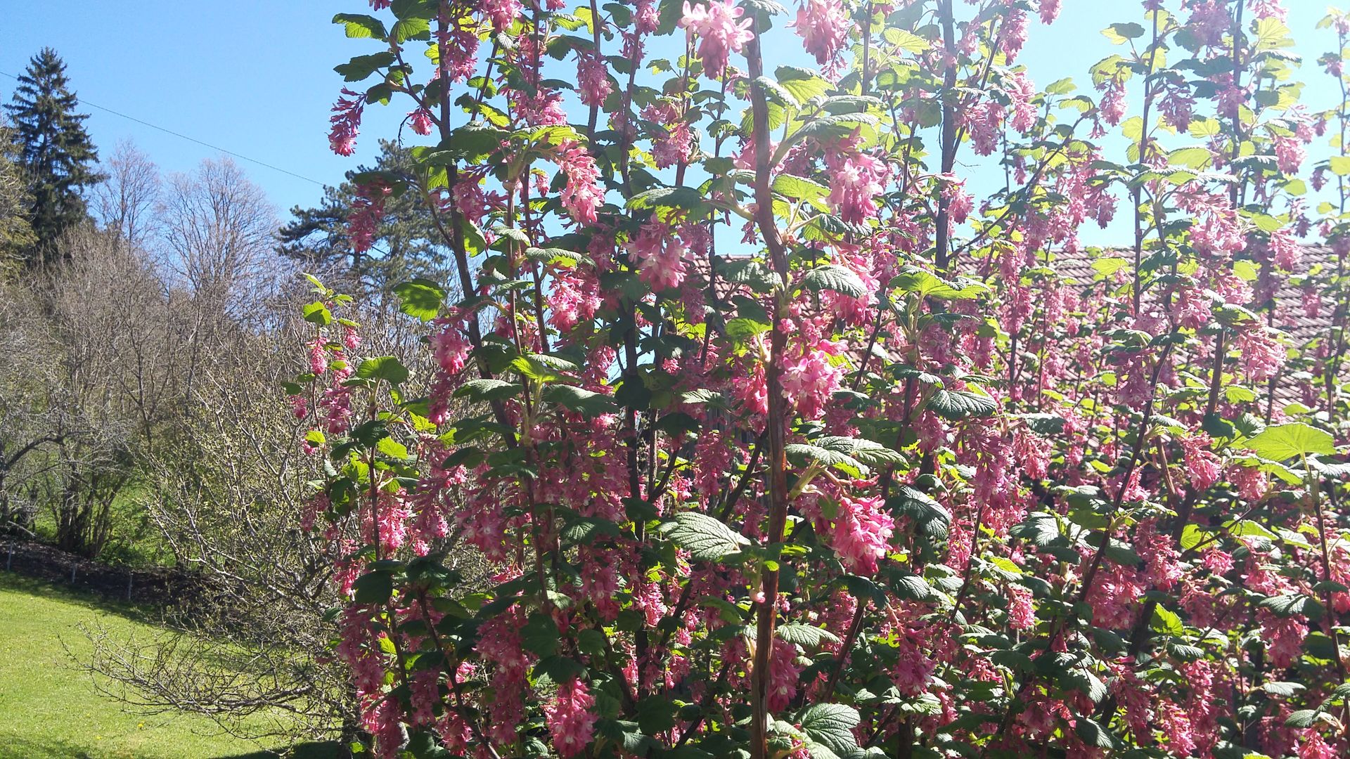 20160505_105528
