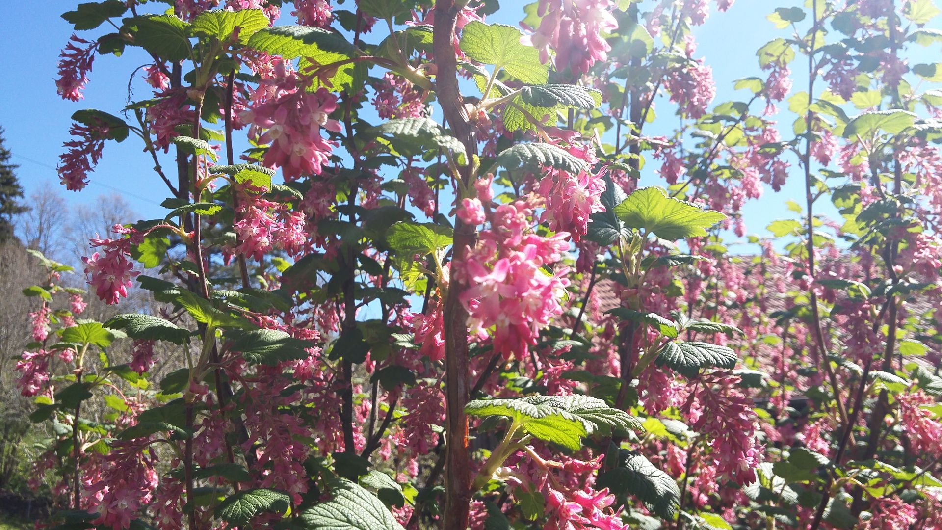 20160505_105542