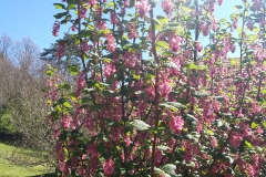 20160505_105528