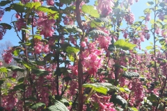 20160505_105542