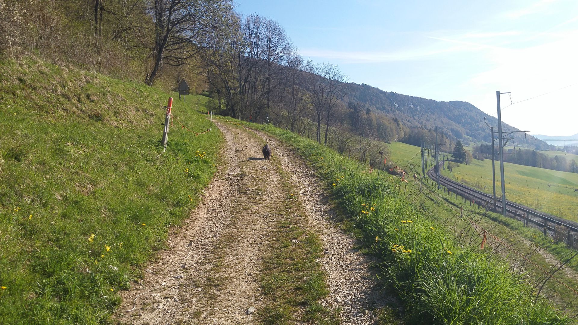 20160506_090928