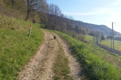 20160506_090928