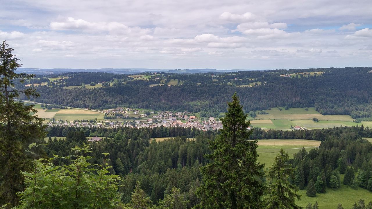 20160703_151253_HDR