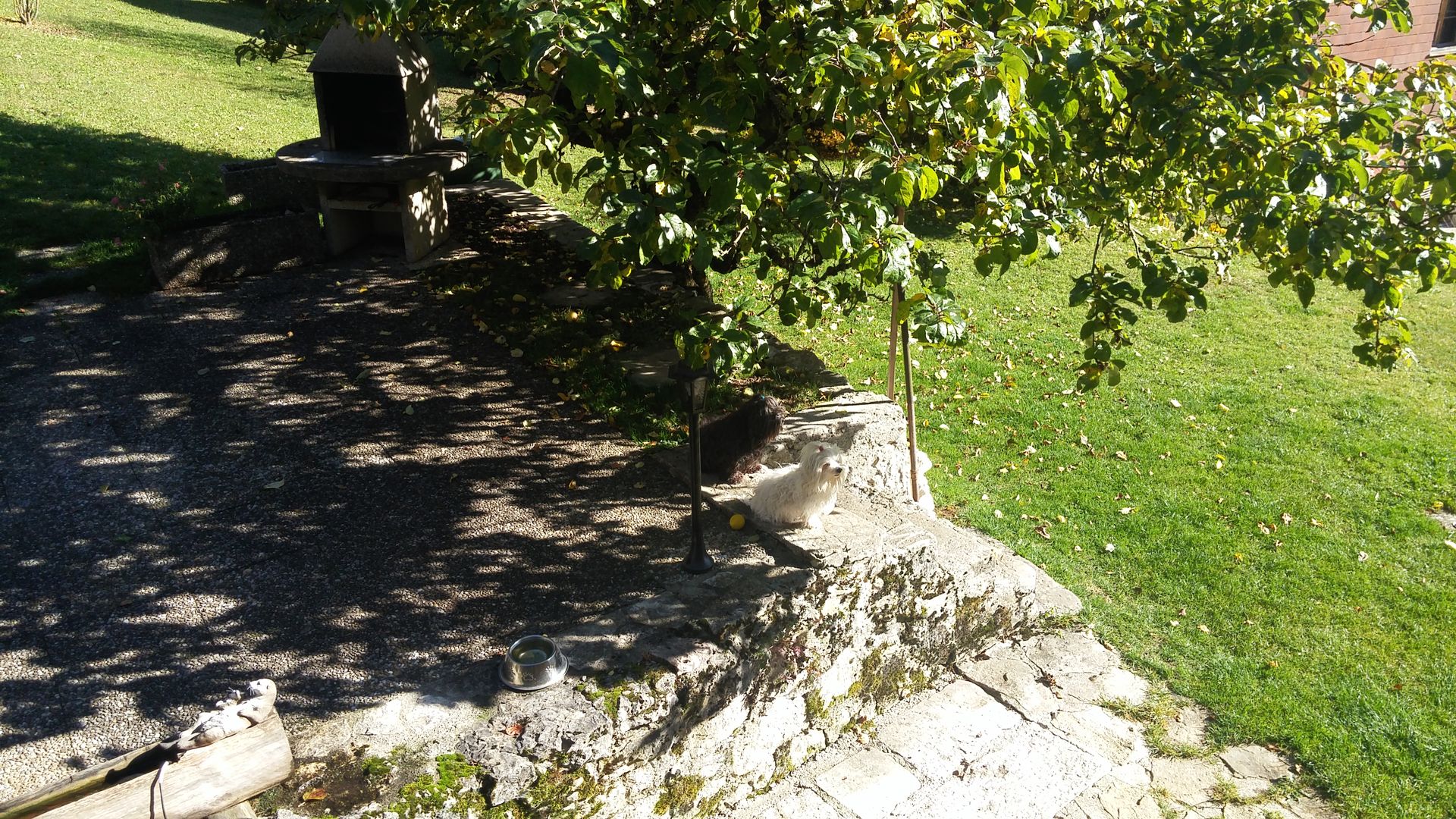 20161029_122125