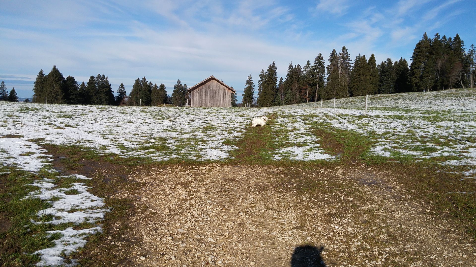 20161120_105649