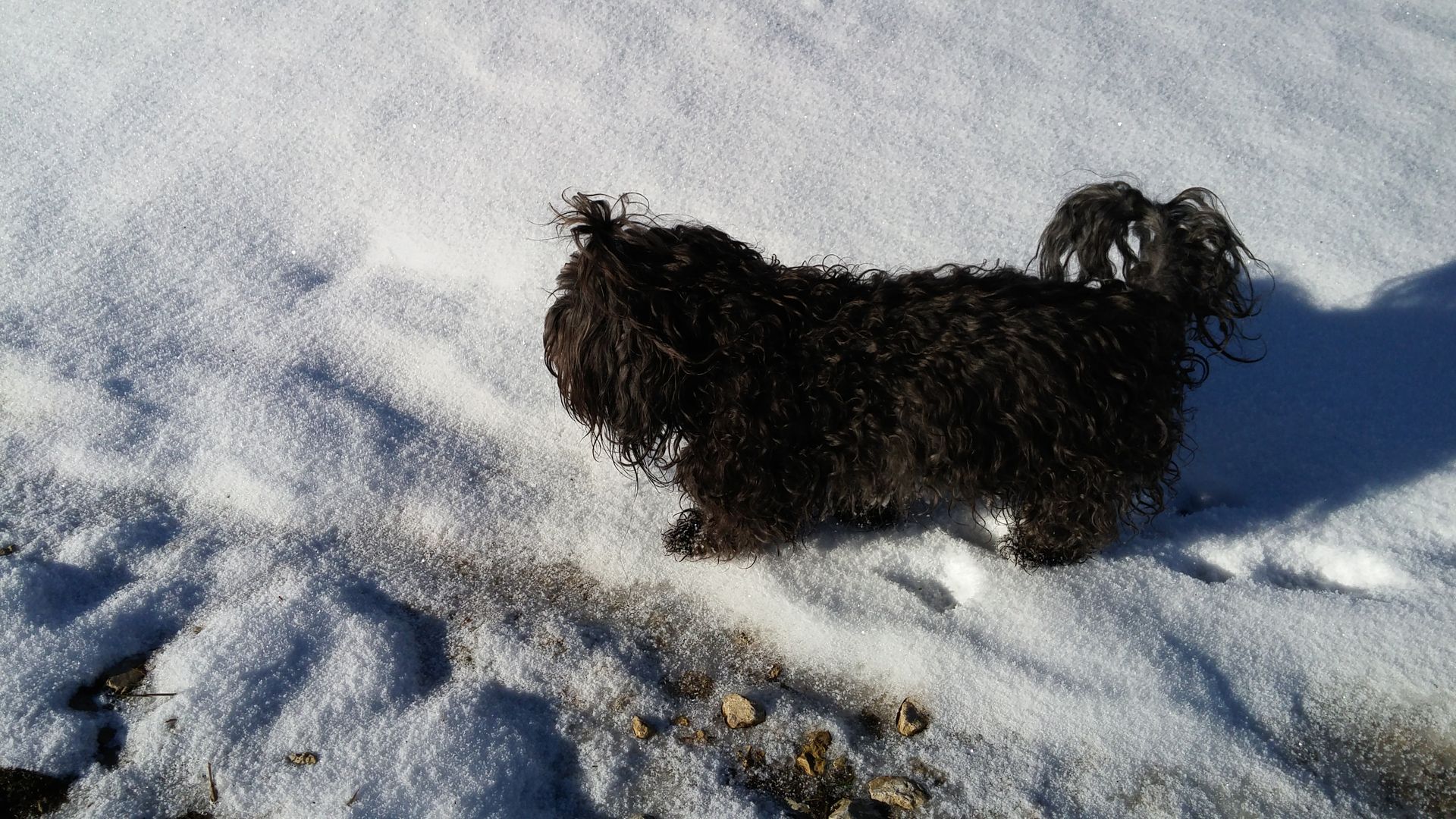 20161120_105957