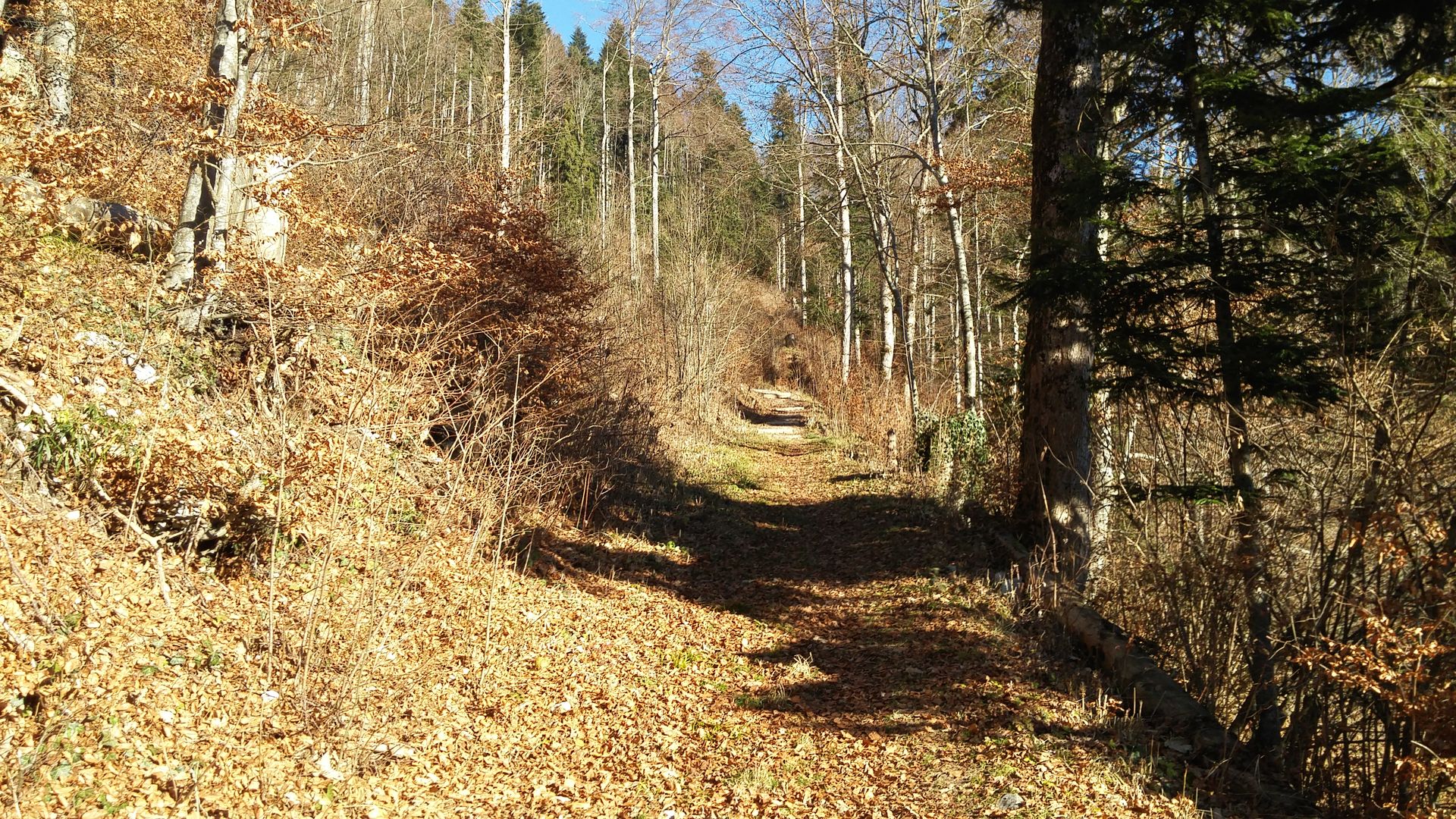 20161210_104621