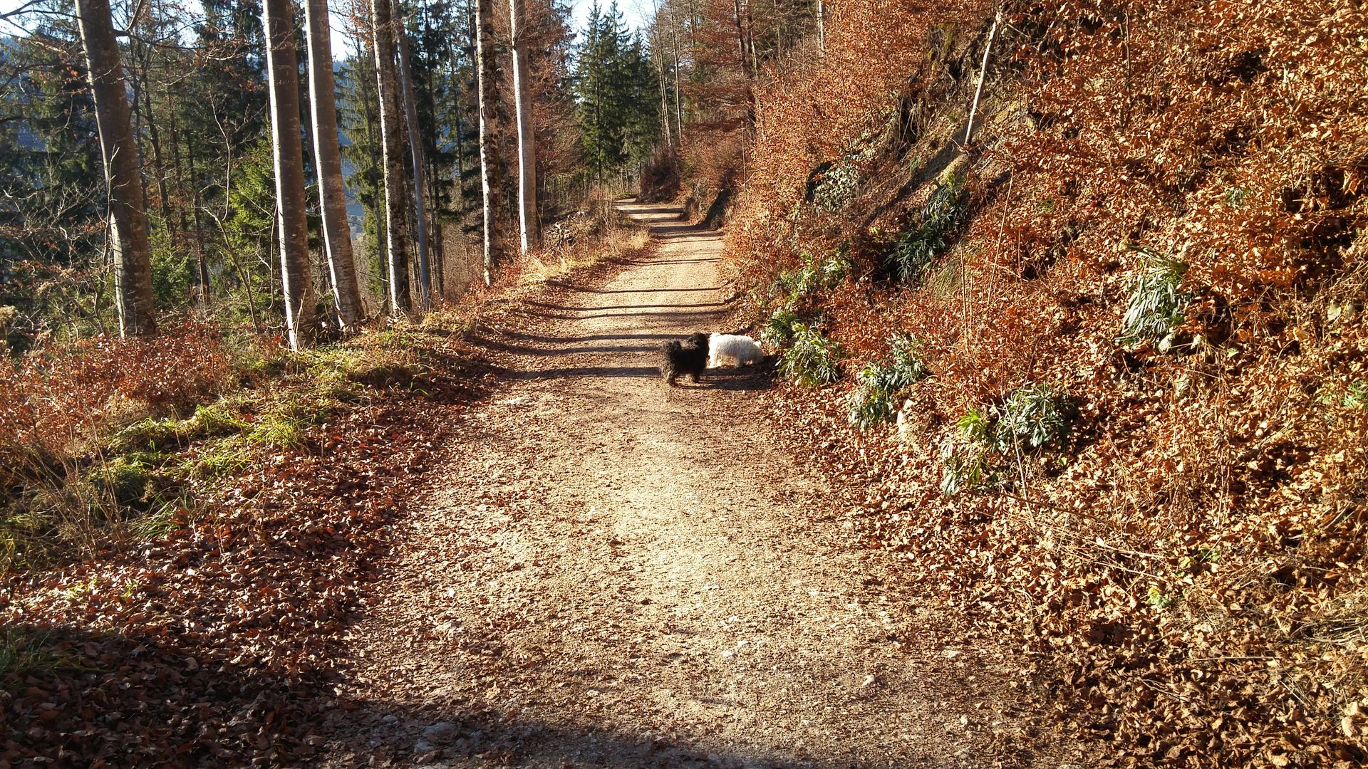 20161210_105350