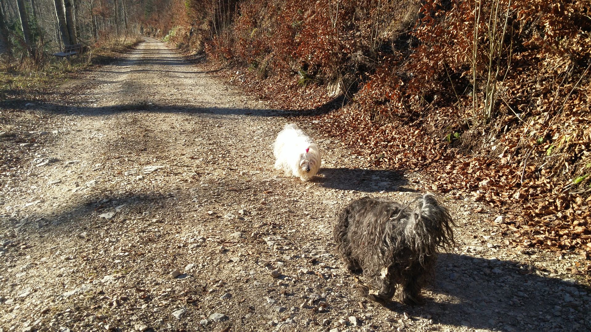 20161210_110235
