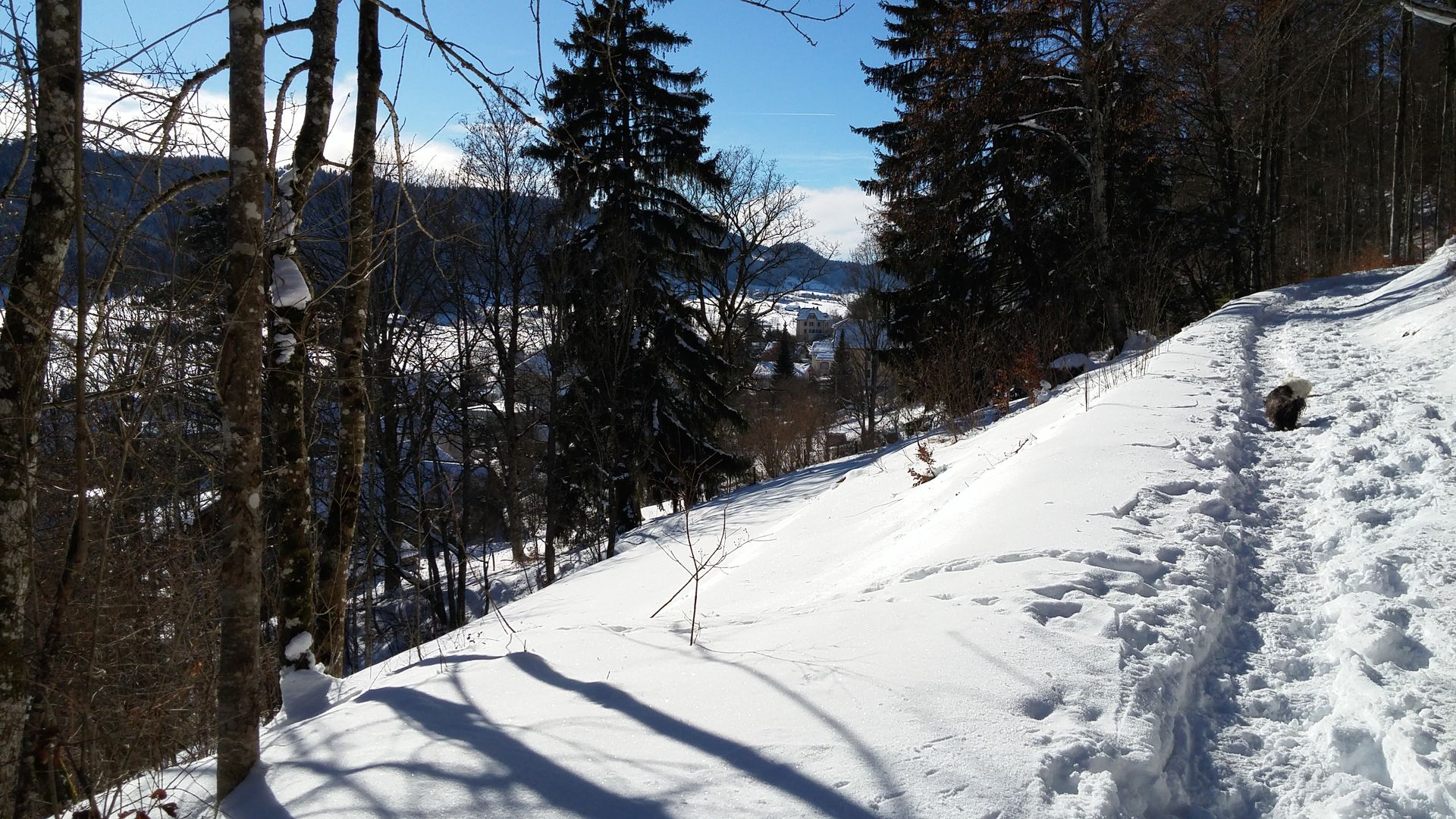 20170122_132959
