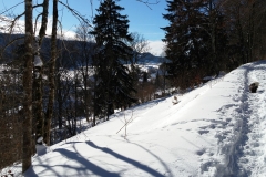 20170122_132959