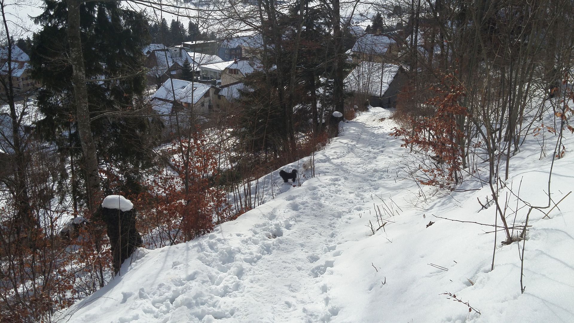 20170128_130840