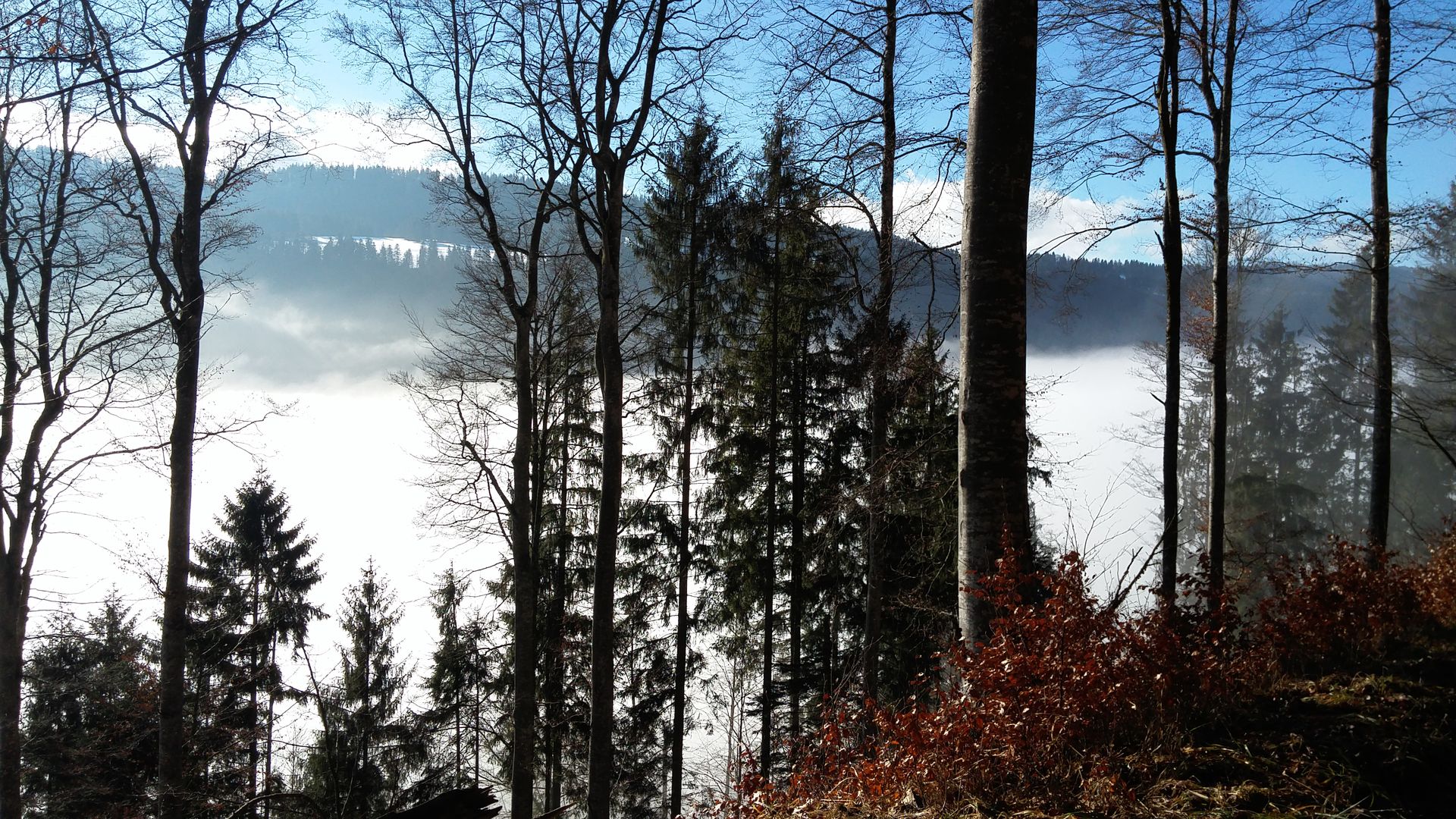 20170218_094439