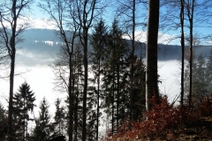20170218_094439